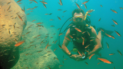 Scuba Dive In Lake